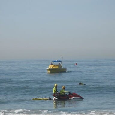 lifeguard requals