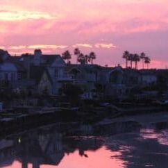 Newport Shores homes for sale